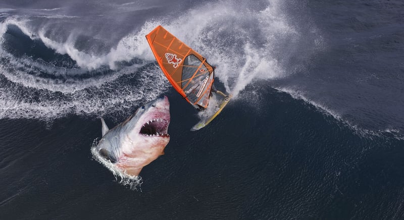 Seek Thrilling Adventures